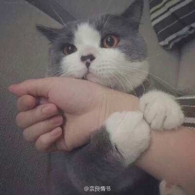 造物法则手游4399版下载